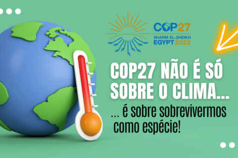 Mudanças Climáticas: COP27 não é só sobre o clima... É sobre sobrevivermos como espécie!
