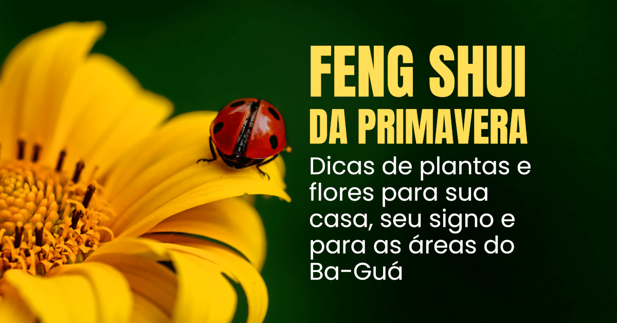 Feng Shui da Primavera: Dicas de plantas e flores que trazem boas energias e energizam sua casa, seu signo e as áreas do Ba-Guá