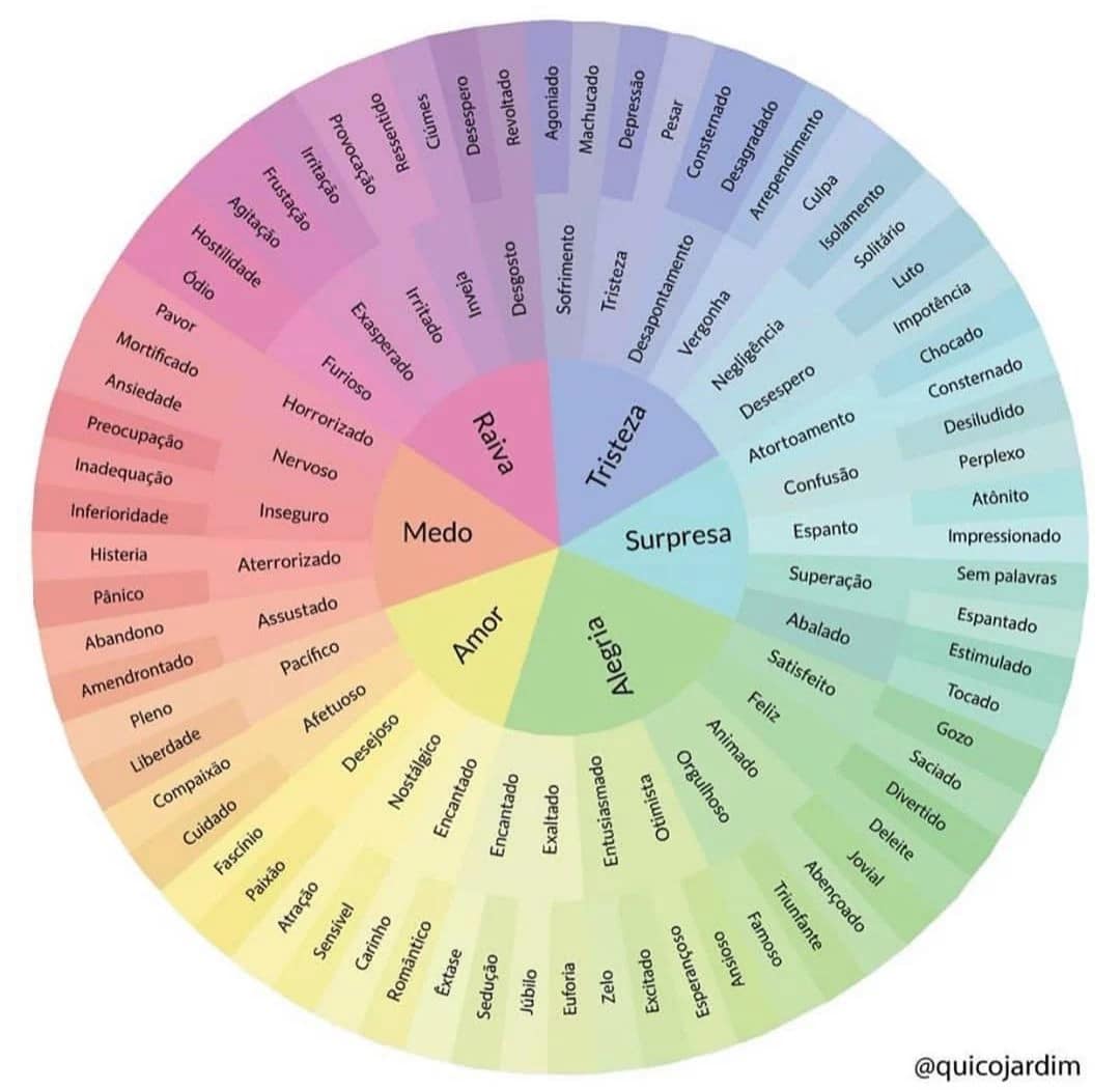 Roda das Emoções de Robert Plutchik
